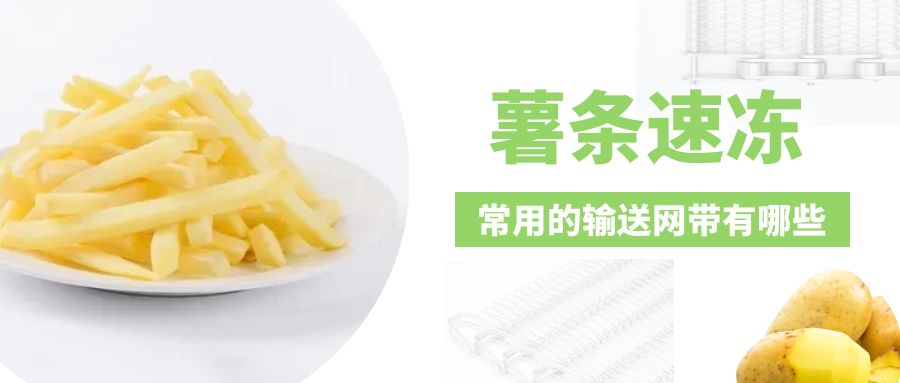 【速凍薯條】常用的網帶類型